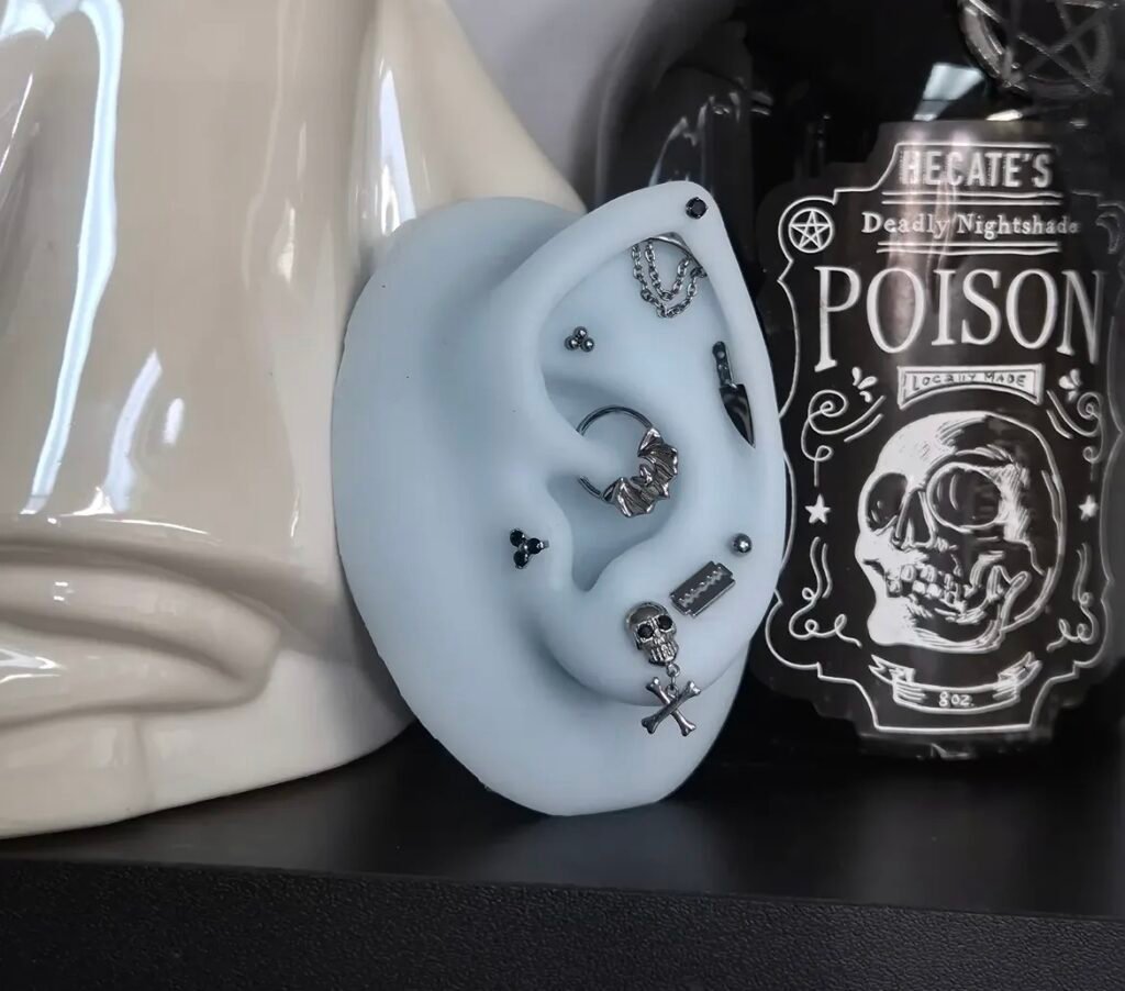 Curated piercing jewelry displayed on an ear model